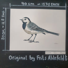 Load image into Gallery viewer, Dw00888 Original White wagtail watercolor