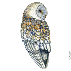 Dw00912 Original Barn owl watercolor