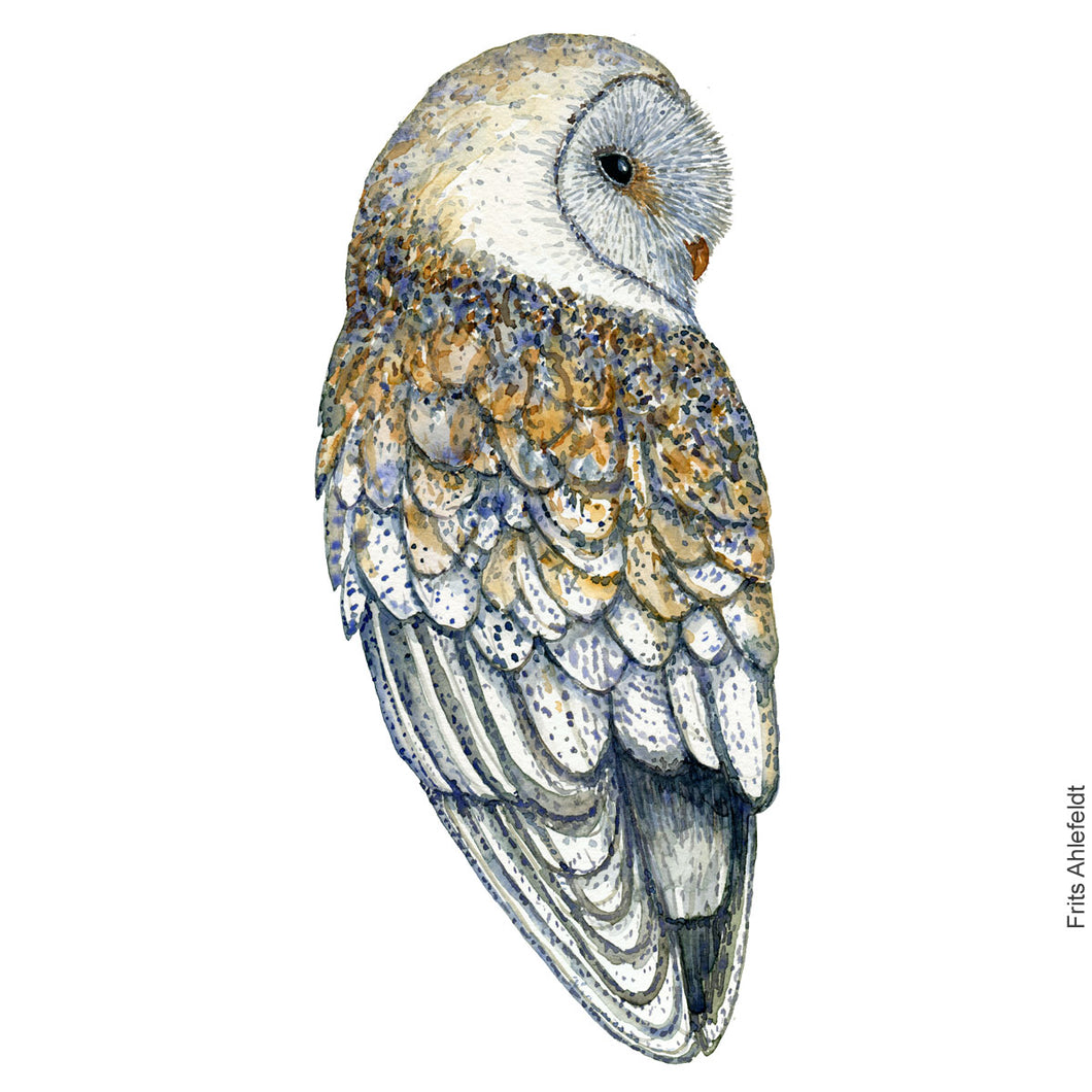 Dw00912 Original Barn owl watercolor