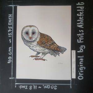 Dw00913 Original Barn owl watercolor