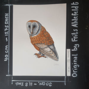 Dw00918 Original Barn owl watercolor