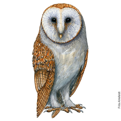 Dw00919 Original Barn owl watercolor