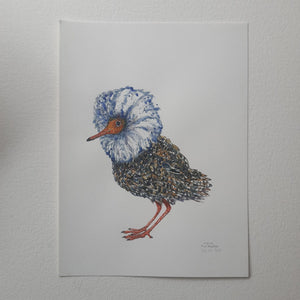 Dw00939 Original Ruff watercolor