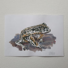 Load image into Gallery viewer, Dw01029 Original A4 Frog