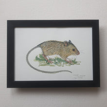 Load image into Gallery viewer, Dw01044 Original A4 Birch mouse watercolor