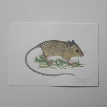 Load image into Gallery viewer, Dw01044 Original A4 Birch mouse watercolor