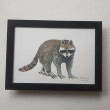 Load image into Gallery viewer, Dw01052 Original A4 Racoon watercolor