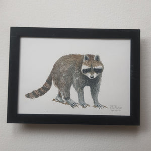 Dw01052 Original A4 Racoon watercolor