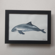 Load image into Gallery viewer, Dw01055 Original A4 harbor porpoise watercolor