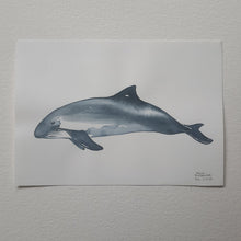 Load image into Gallery viewer, Dw01055 Original A4 harbor porpoise watercolor