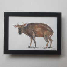 Load image into Gallery viewer, Dw01060 Original A4 Muntjac deer watercolor