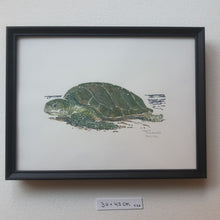 Load image into Gallery viewer, Dw01086 Original Sea turtle watercolor