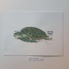 Load image into Gallery viewer, Dw01086 Original Sea turtle watercolor