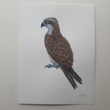 Load image into Gallery viewer, Dw01114 Original Osprey Eagle watercolor