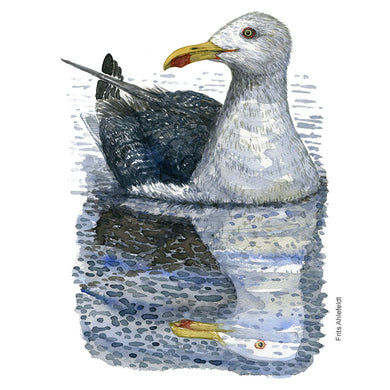 Dw01130 Original Lesser black-backed gull watercolor