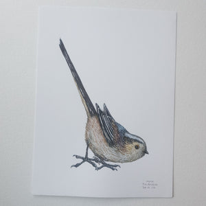 Dw01134 Original Long tailed tit watercolor