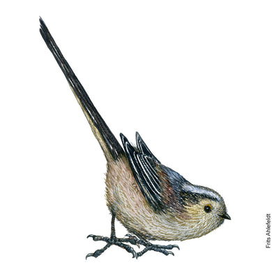 Dw01134 Original Long tailed tit watercolor