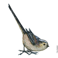Dw01134 Original Long tailed tit watercolor
