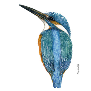 Dw01138 Original Eurasian kingfisher watercolor