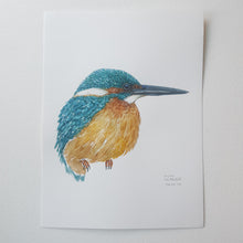 Load image into Gallery viewer, Dw01139 Original Eurasian kingfisher watercolor