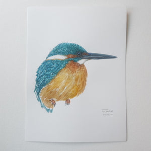 Dw01139 Original Eurasian kingfisher watercolor