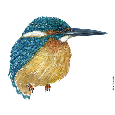 Dw01139 Original Eurasian kingfisher watercolor