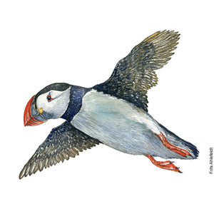 Dw01148 Original Atlantic puffin watercolor