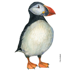 Dw01149 Original Atlantic puffin watercolor