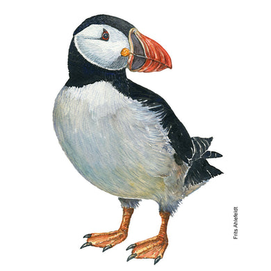 Dw01150 Original Atlantic puffin watercolor