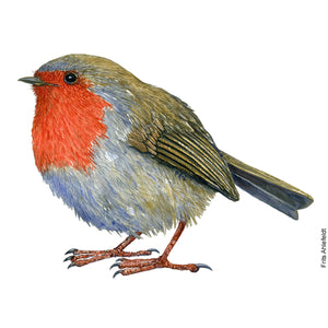 Dw01154 Original European Robin watercolor