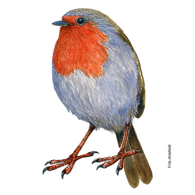 Dw01155 Original European Robin watercolor