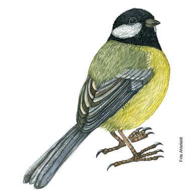 Dw01160 Original Great tit watercolor