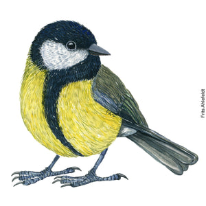 Dw01161 Original Great tit watercolor