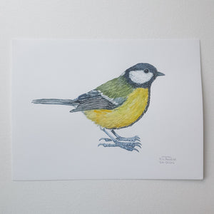 Dw01162 Original Great tit watercolor