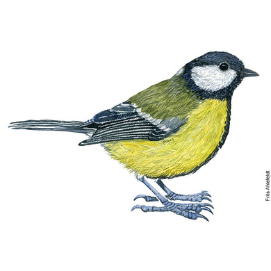 Dw01162 Original Great tit watercolor