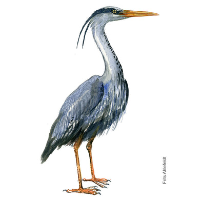 Dw01164 Original Grey heron watercolor