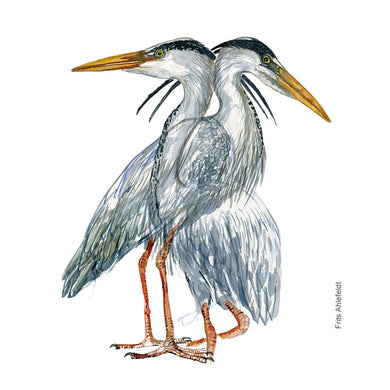 Dw01167 Original Grey heron watercolor