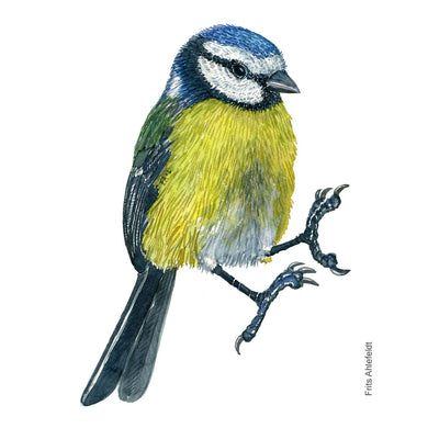 Dw01175 Original Blue tit watercolor