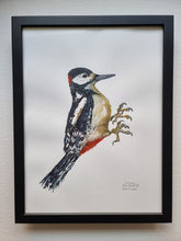 Load image into Gallery viewer, Dw01257 Original Spotted woodpecker watercolor