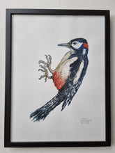 Load image into Gallery viewer, Dw01258 Original Spotted woodpecker watercolor