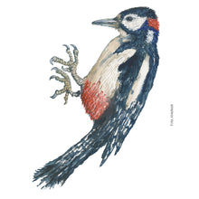 Load image into Gallery viewer, Dw01258 Original Spotted woodpecker watercolor