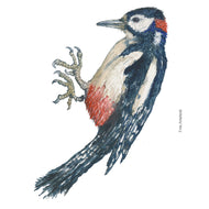 Dw01258 Original Spotted woodpecker watercolor