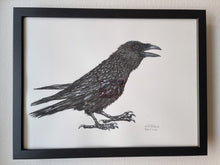 Load image into Gallery viewer, Dw01265 Original Raven watercolor