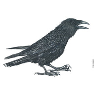 Dw01265 Original Raven watercolor