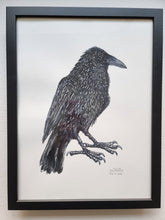 Load image into Gallery viewer, Dw01266 Original Raven watercolor