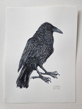 Load image into Gallery viewer, Dw01266 Original Raven watercolor