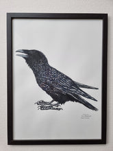 Load image into Gallery viewer, Dw01267 Original Raven watercolor