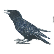 Dw01267 Original Raven watercolor