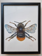 Load image into Gallery viewer, Dw01287 Original Red-tailed bumblebee watercolor