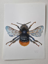 Load image into Gallery viewer, Dw01287 Original Red-tailed bumblebee watercolor